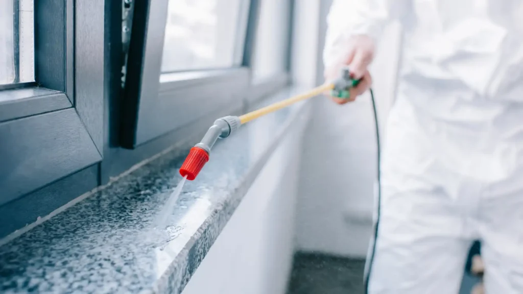 curso de control de plagas para desempleados en galicia